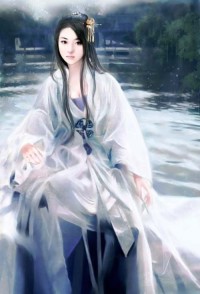 冷王独宠,天价傻妃