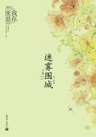 迷雾围城(下册)