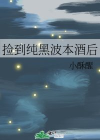 (柯南同人)捡到纯黑波本酒后