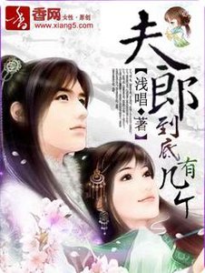 夫郎到底有几个?
