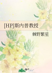 [HP]斯内普教授